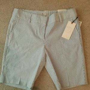 Lila Rose shorts