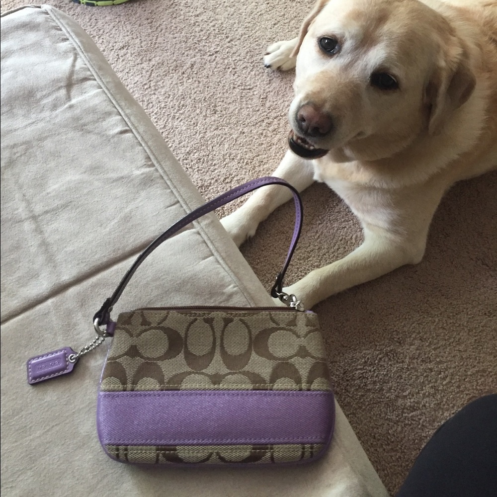 Coach wristlet, dog not for sale