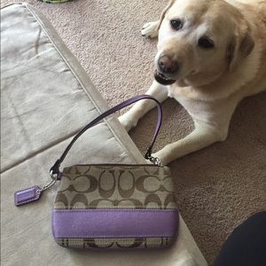 Coach wristlet, dog not for sale