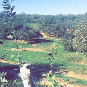 Meet your Posher, Victoria