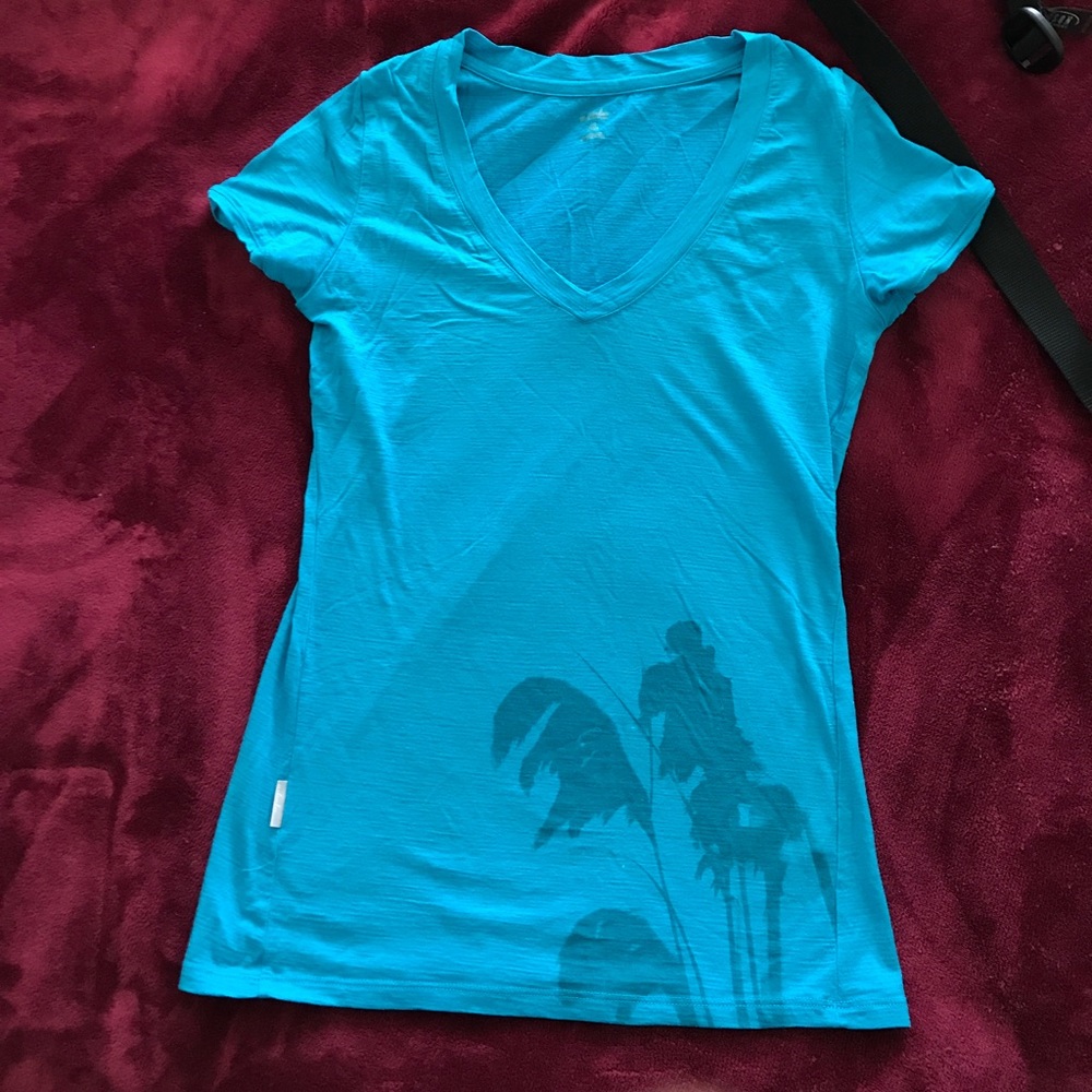 Icebreaker v-neck t-shirt