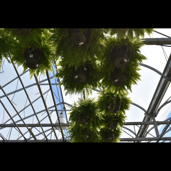 Meet your Posher, Ania - Picture 1 of 1