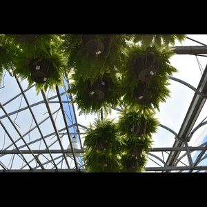 Meet your Posher, Ania