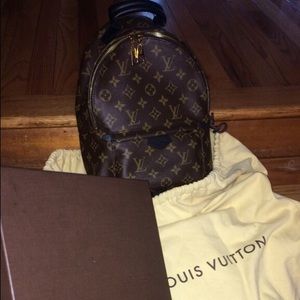 Louis Vuitton Palm Springs PM Backpack.