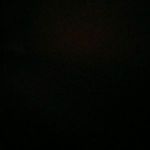 Meet your Posher, George