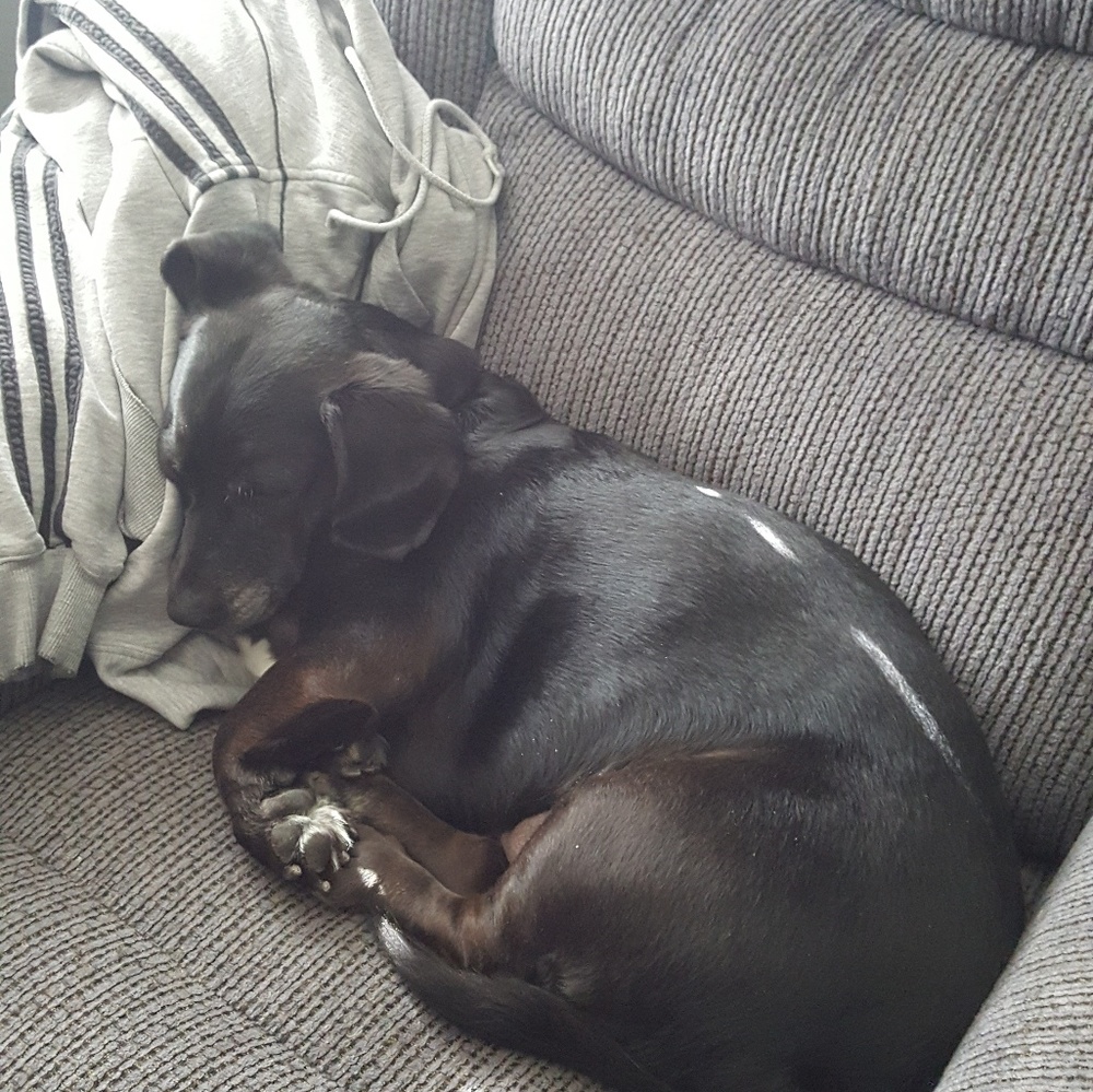 Meet your Posher, Dareth