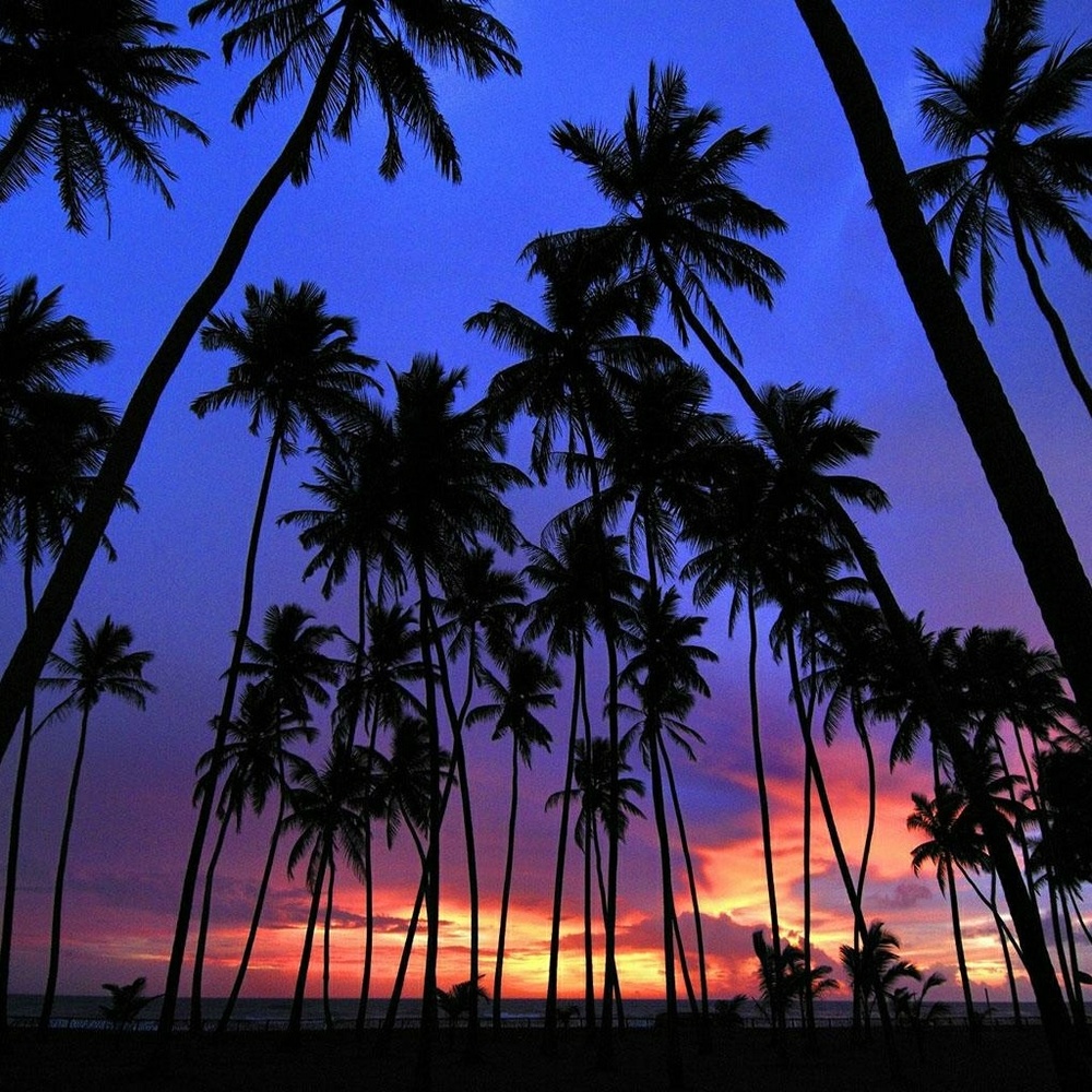 Meet your Posher, Sadiqa