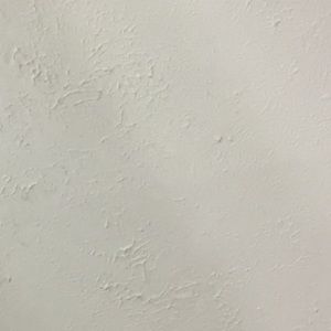 Meet your Posher, Sasha