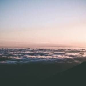 Meet your Posher, Fawn