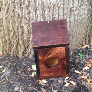 Handmade wooden bird house