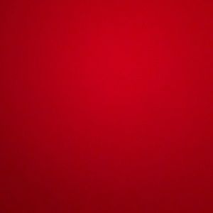 Meet your Posher, Lizzie