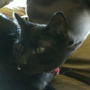 Meet your Posher, Linda