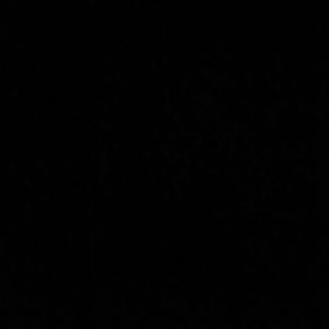 Meet your Posher, Alexia