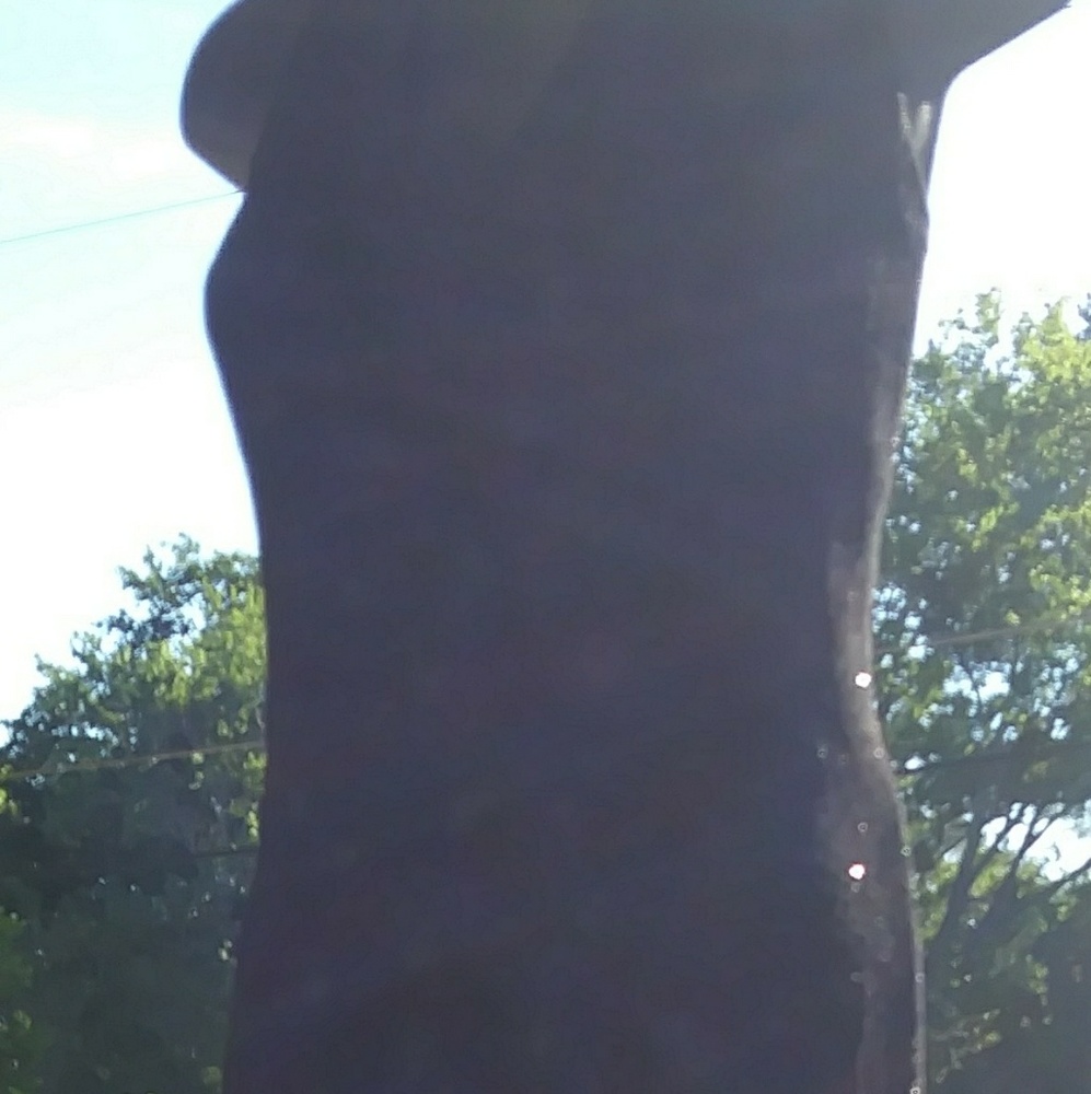 Sexy Halter Formal Gown