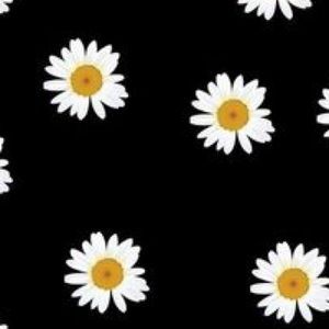 Meet your Posher, Jeffrey