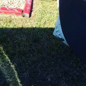 Meet your Posher, Micah