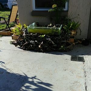 Meet your Posher, Jody