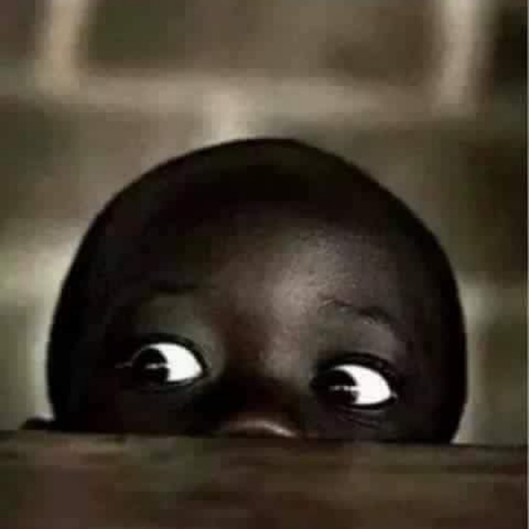 Meet your Posher, Brigitte - Picture 1 of 1