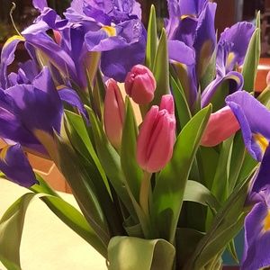 Meet your Posher, Valeria