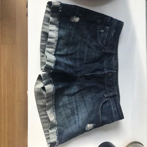 DL1961 Shorts