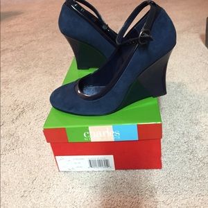 Charles David Blue Suede Wedges