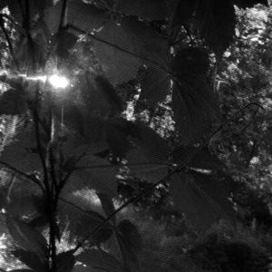 Meet your Posher, Aniyah