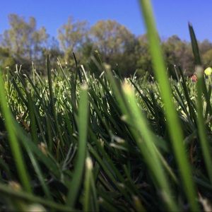 Meet your Posher, Petra