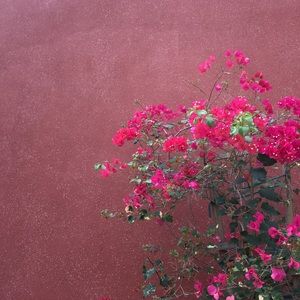 Meet your Posher, Nina