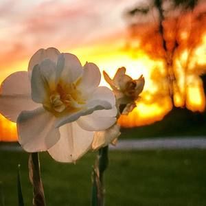 Meet your Posher, Pg