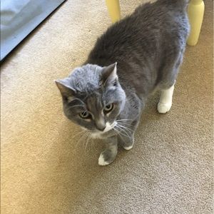 Meet your Posher, Jo