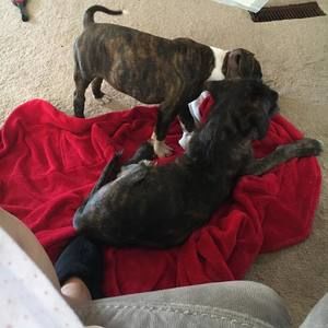 Meet your Posher, Lynn