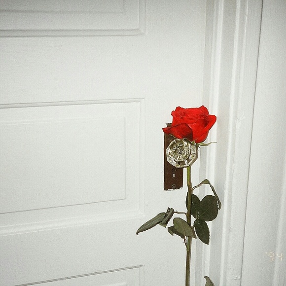 Meet your Posher, Guadalupe - Picture 1 of 1