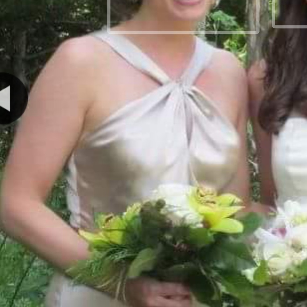 Champagne colored 100% silk dress!