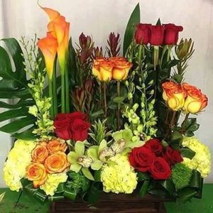 Meet your Posher, Denice