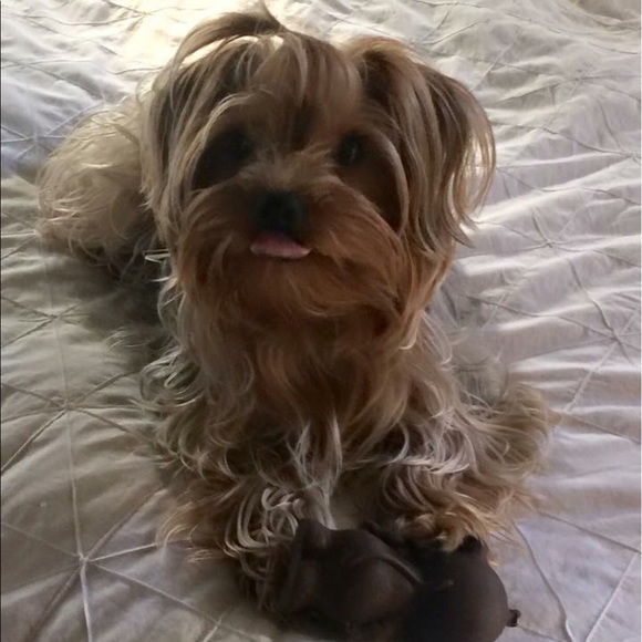 Meet your posher - Picture 7 of 8