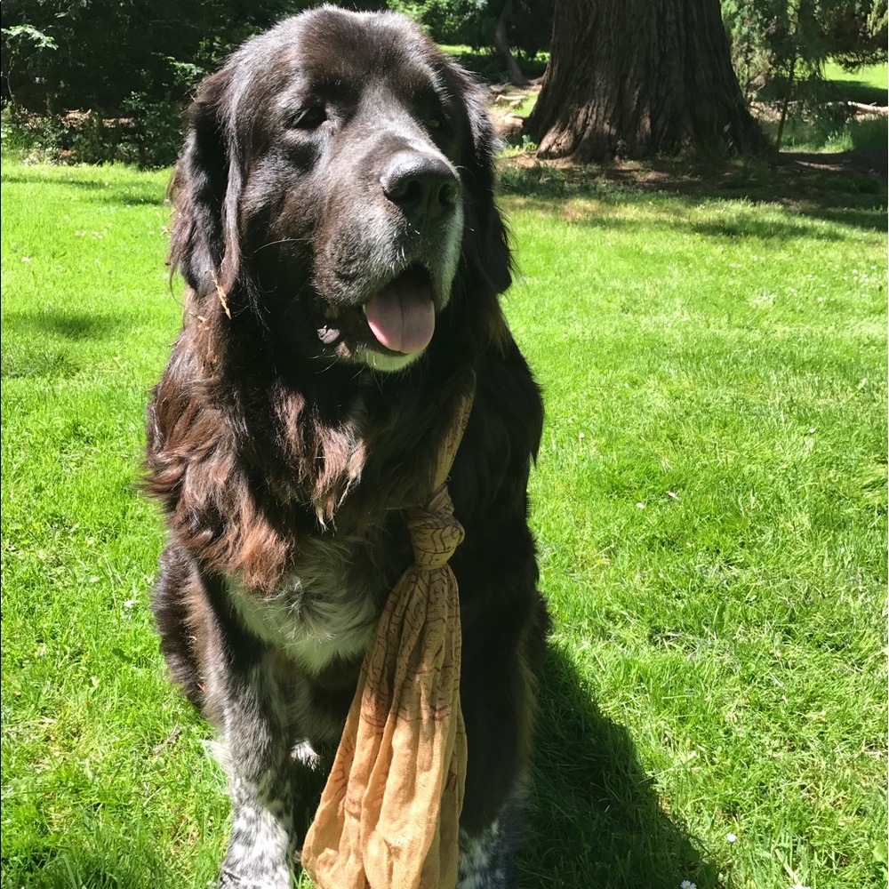 Meet your Posher, Zari