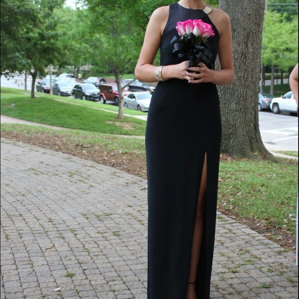 Halston Heritage Gown