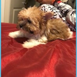 Meet your Posher, Dreezy