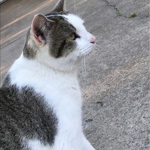 Meet your Posher, Leah