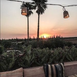 Meet your Posher, Daisy