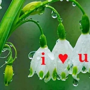 Meet your Posher, Dina