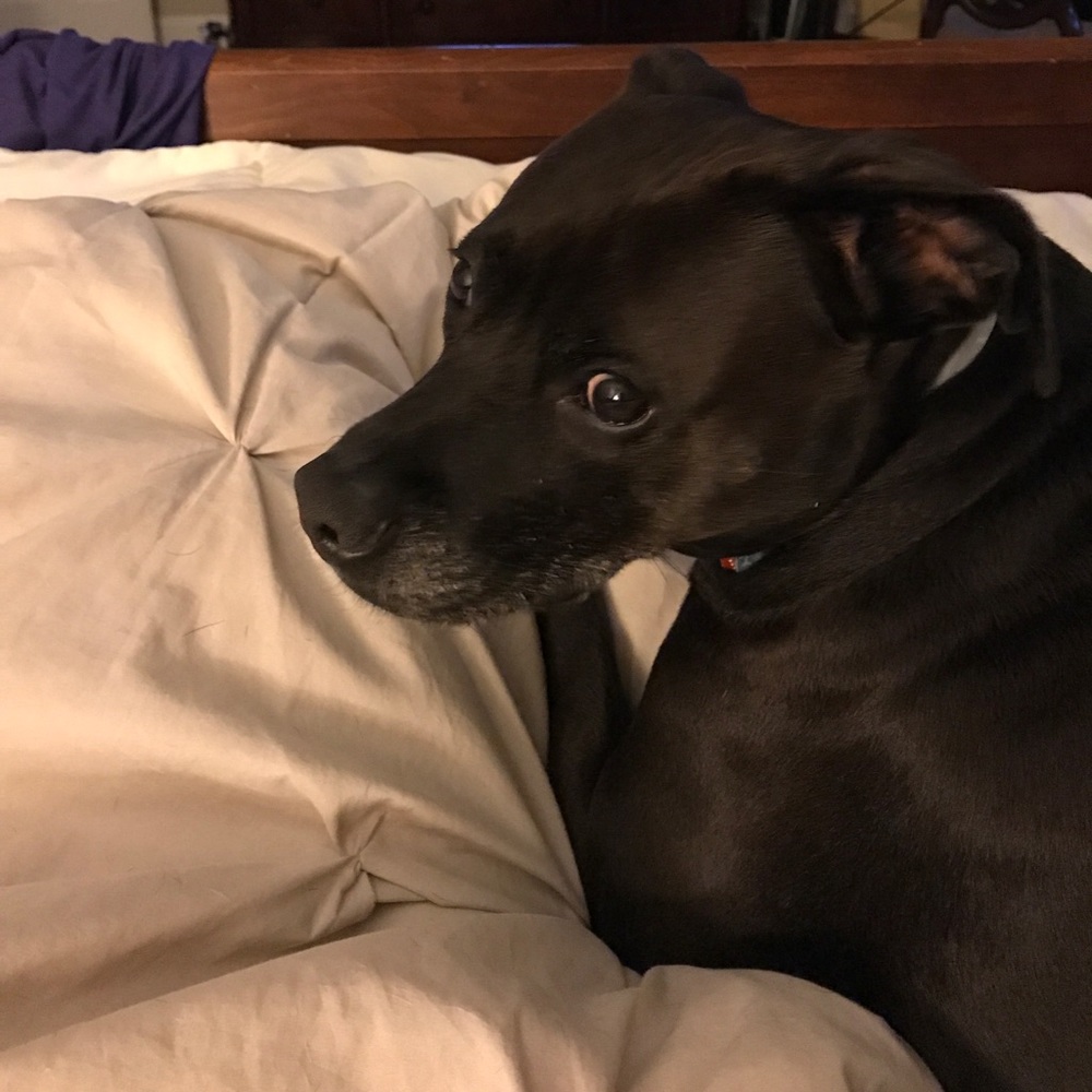 Meet your Posher, Angela