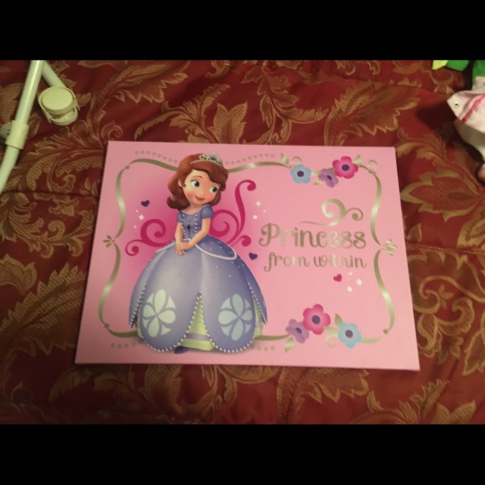 Sofia the first canvas