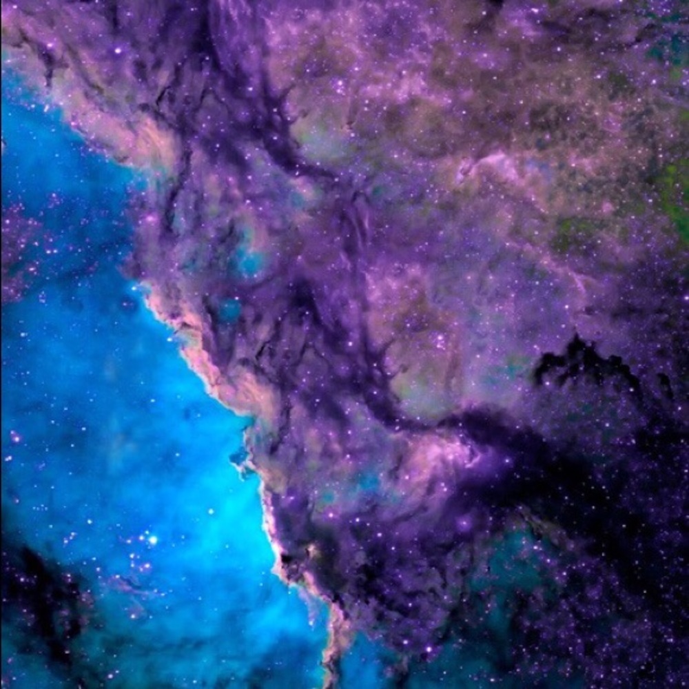 Meet your Posher, Brittney