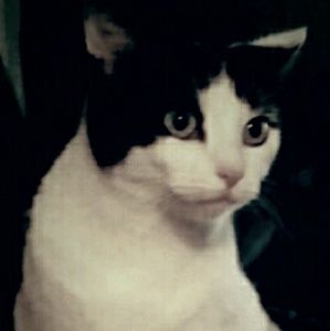 Meet your Posher, April