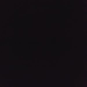 Meet your Posher, Owen