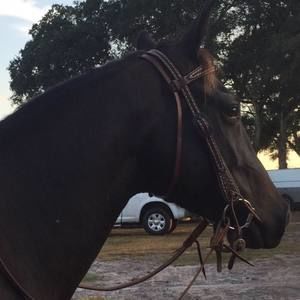 Meet your Posher, Kerri