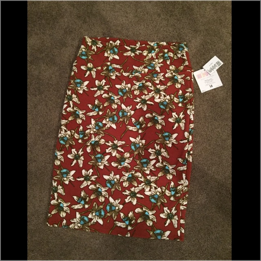 NWT LuLaRoe Cassie Skirt Medium