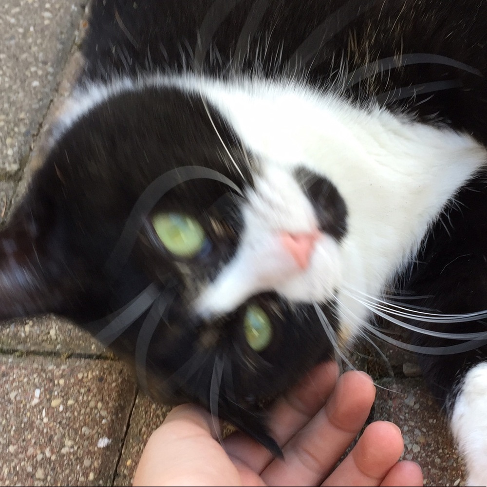 Meet your Posher, Kimberly