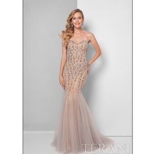 Champagne Terani Couture size 18 evening gown